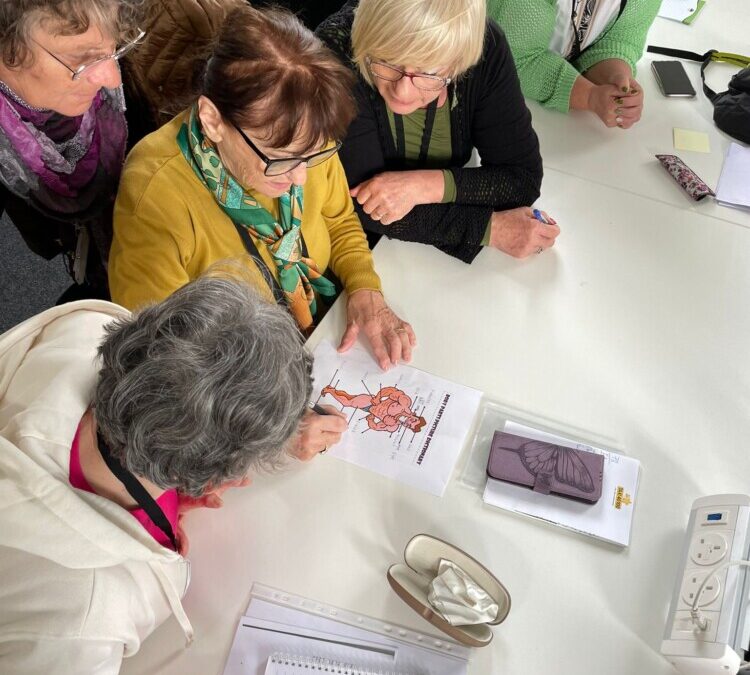 Odprte prijave na Erasmus mobilnost učečih se