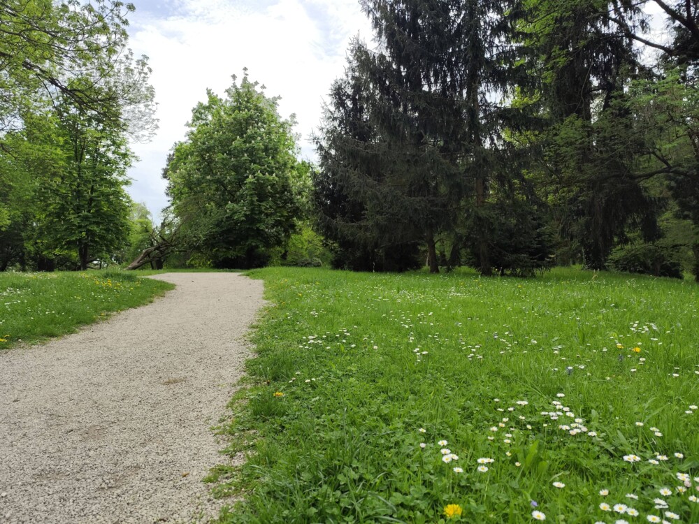Ormoški park, vidna je pot, trava s cvetlicami in drevesa.