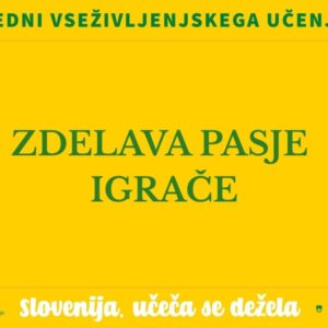 Napis na rumenem ozadju: Izdelava pasje igrače.