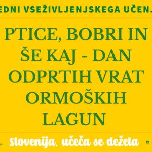Napis na rumenem ozadju: Ptice, bobri in še kaj - Dan odprtih vrat Ormoških lagun